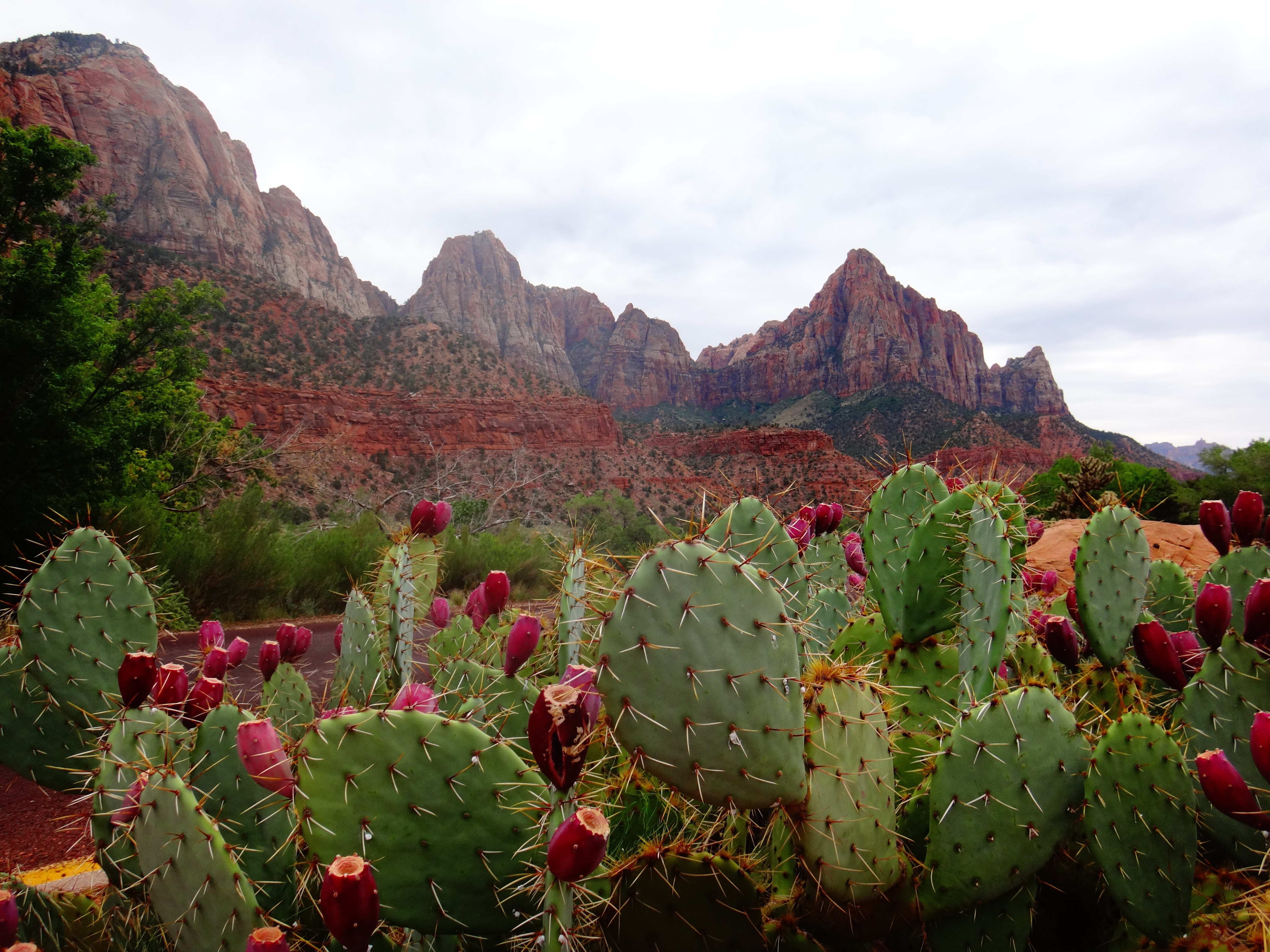 Photo by George Pagan III on Unsplash